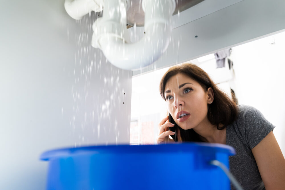 The Benefits of Using a Plumbing Professional for Emergency Plumbing Issues