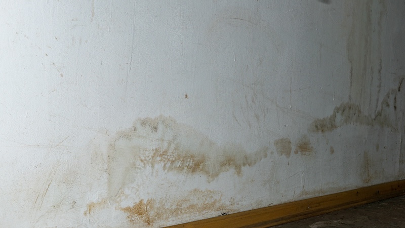 10 Warning Signs Your Home Has Hidden Water Leaks