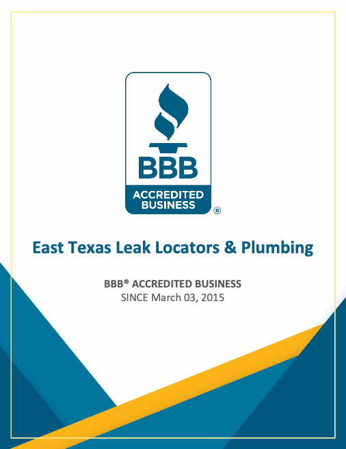 Why Reputation Matters When Choosing a Leak Detection and Plumbing Company in East Texas